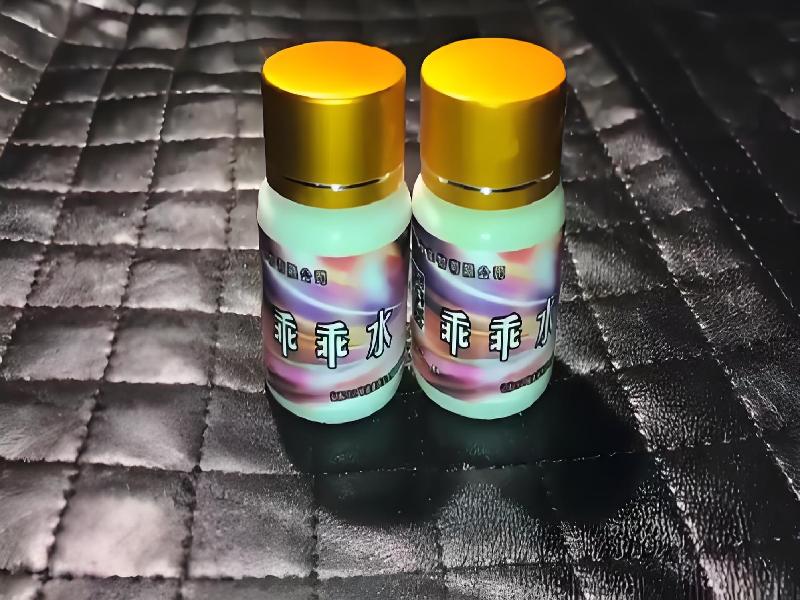 成人催药迷用品5790-zdwZ型号